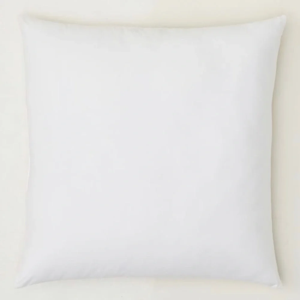 - 24x24” Pillow insert WEST ELM